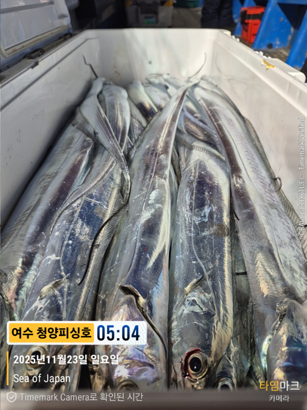 2025-11-23 05.04.38_Japan_(제목-여수 청양피싱호).jpg