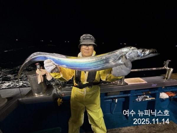 11월15일갈치 (7).jpg