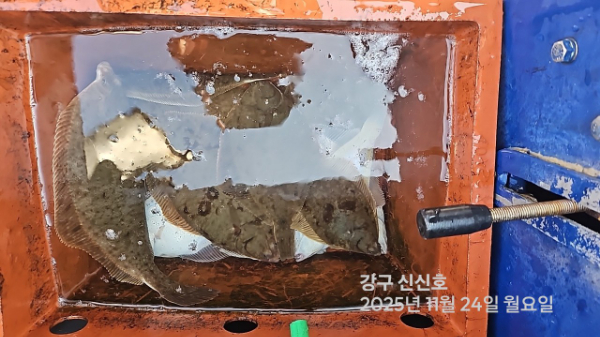 신신낚시 강구점 신신호_사진_20251124_9.jpg