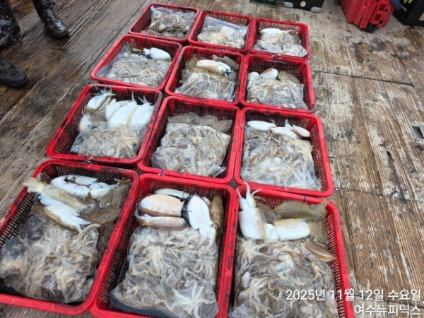 11월12일대왕쭈 (51).jpg