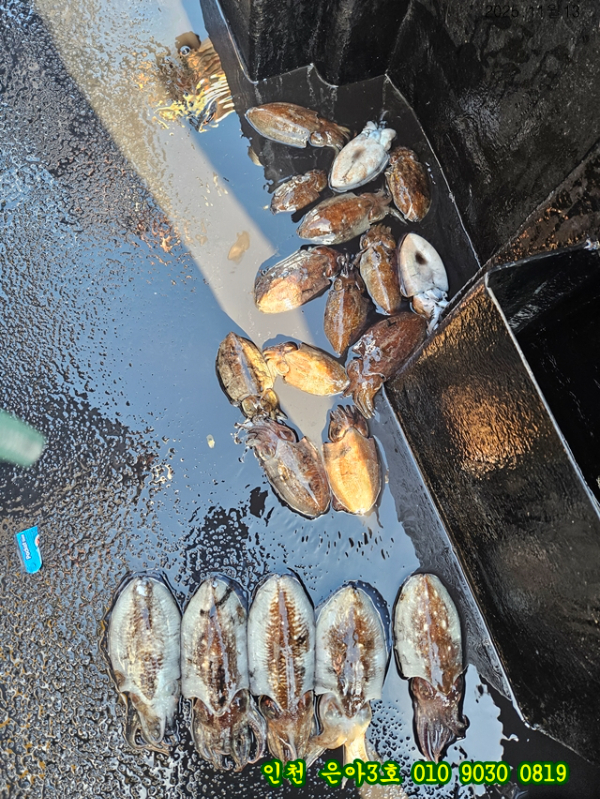 11월13 3호 (1).jpg