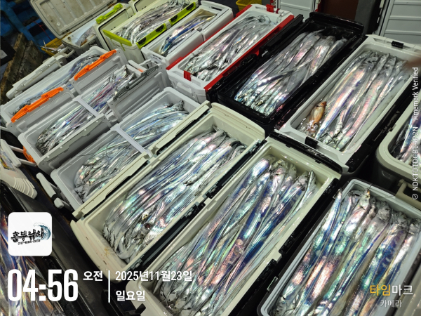 2025-11-23 04.56.01_.jpg