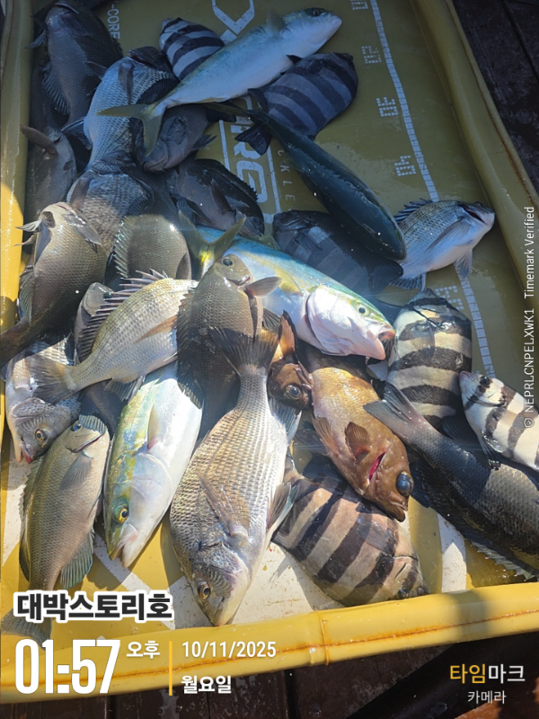 2025-11-10 01.57.33__(대박스토리호).jpg