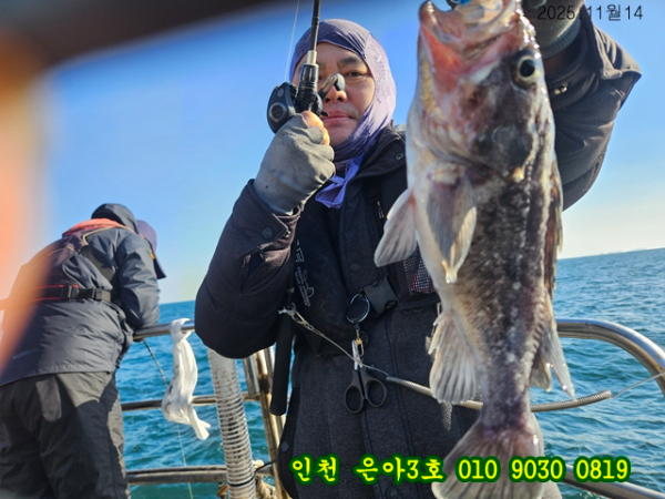 11월14 3호 (17).jpg