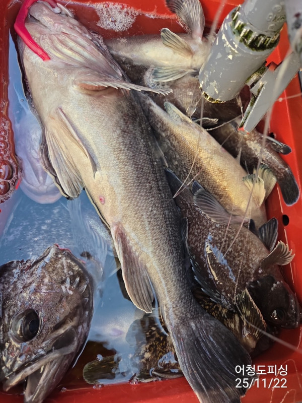 최강피싱 063.463.0800_사진_20251122_34.jpg