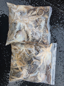 인천쭈꾸미낚시 (24).jpg