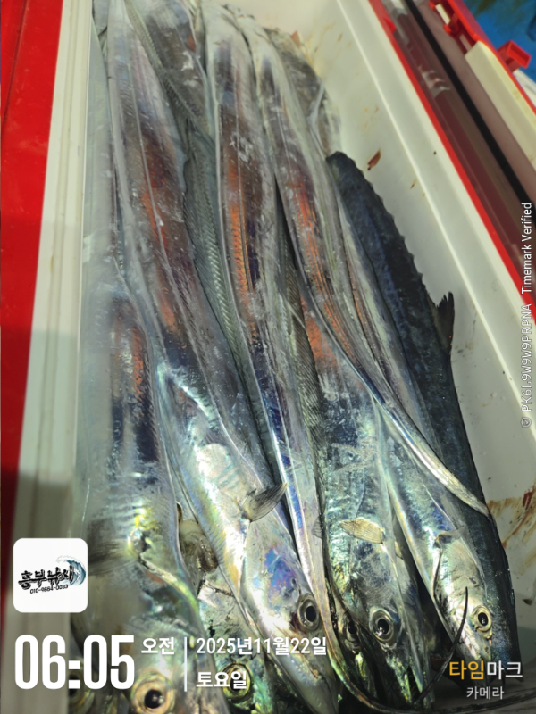 2025-11-22 06.05.47_.jpg