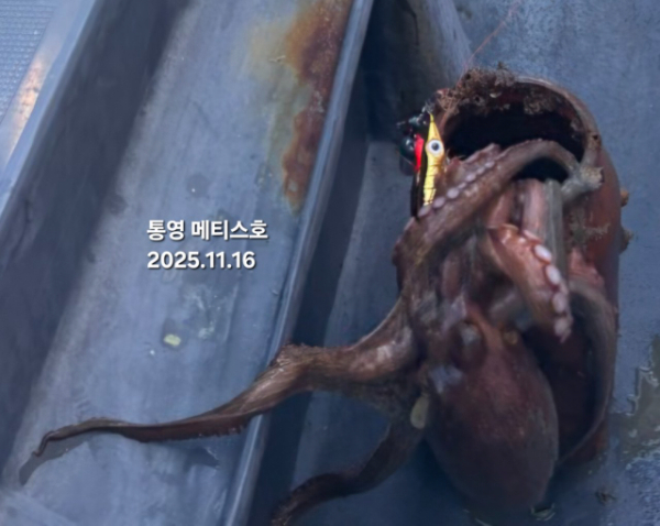 통영 메티스호_사진_20251117_11.jpg