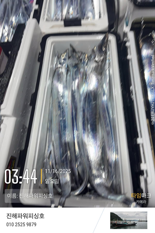 2025-11-16 03.44.07_(이름-진해파워피싱호).jpeg