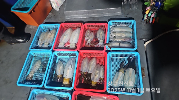 신신낚시 강구점 신신호_사진_20251102_7.jpg