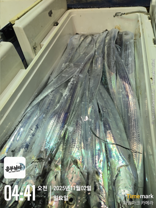 2025-11-02 04.41.11_.jpg