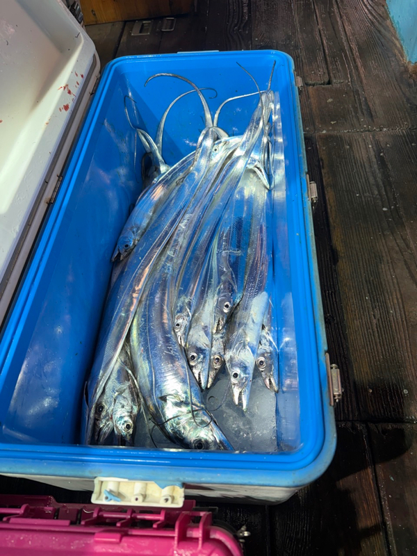 제주 쏘니호_사진_20251110_6.jpg