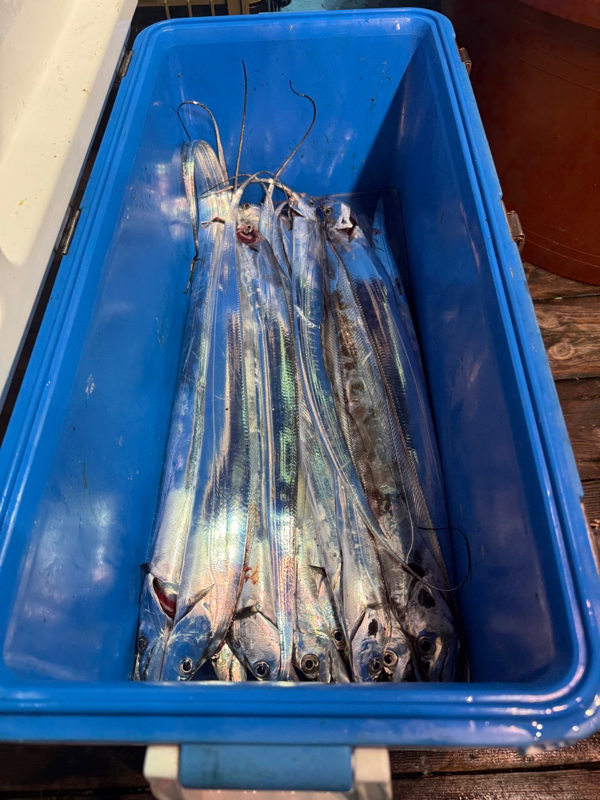 제주 쏘니호_사진_20251110_2.jpg