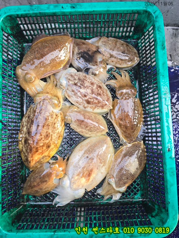 11월06 썬 (21).jpg