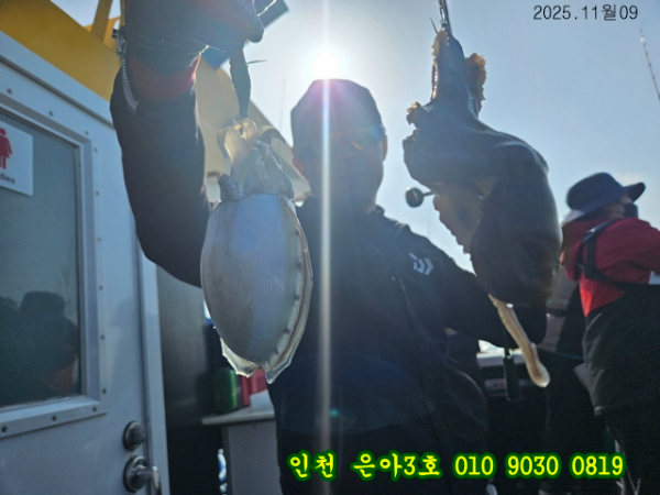 11월09  3호 (6).jpg