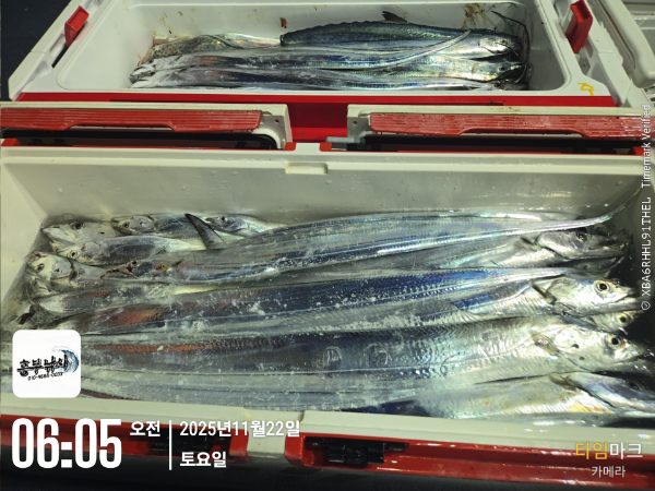 2025-11-22 06.05.54_.jpg