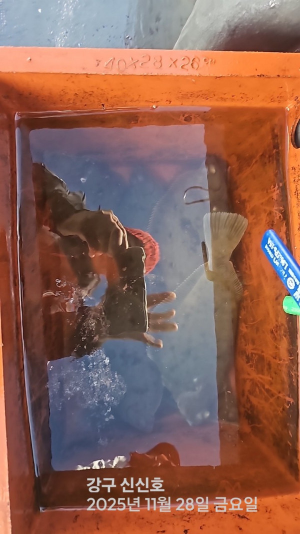 신신낚시 강구점 신신호_사진_20251128_10.jpg