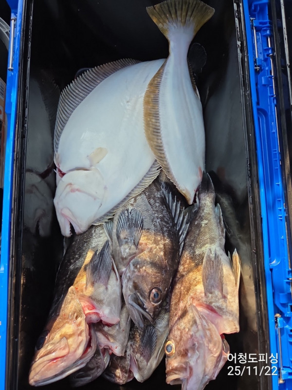 최강피싱 063.463.0800_사진_20251122_49.jpg