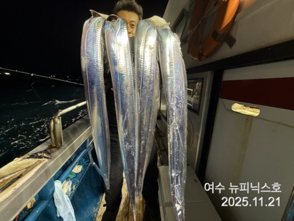 11월22일갈치 (36).jpg