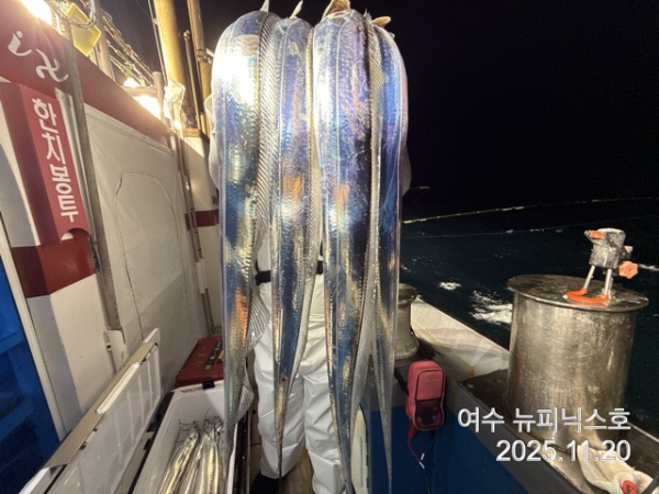 11월21일왕갈치 (12).jpg