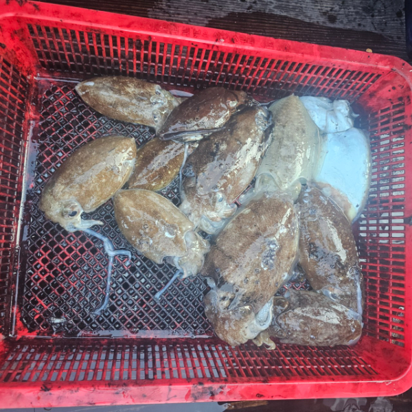 마검포 대한호(VIP)_사진_20251114_7.jpg