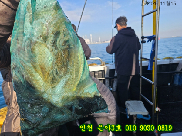 11월15 썭 (18).jpg