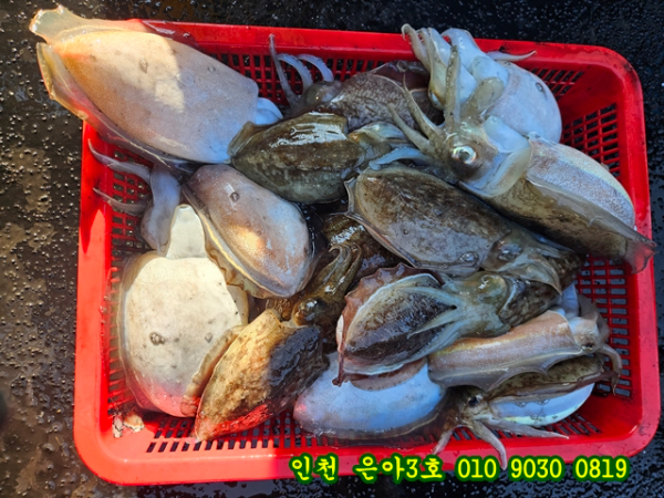 11월03 3호 (29).jpg