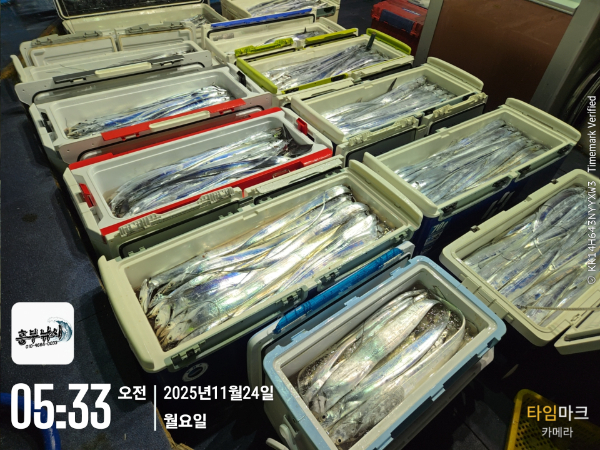 2025-11-24 05.33.01_.jpg