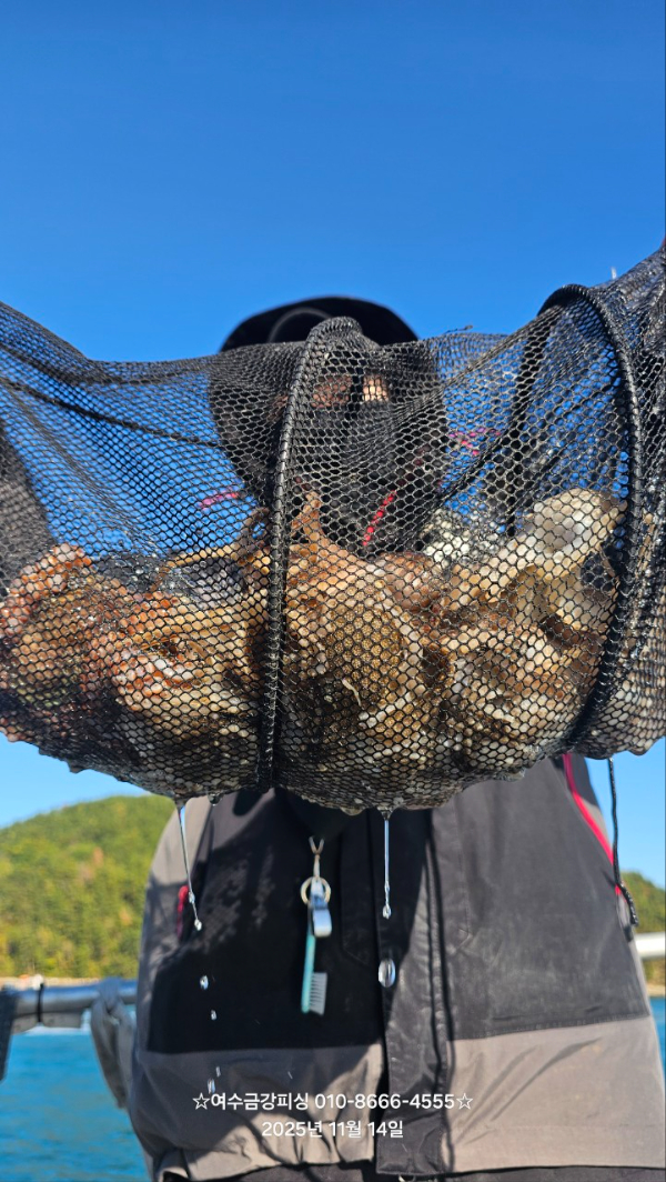 여수금강피싱_사진_20251115_7.jpg