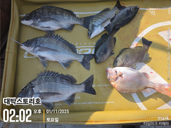 2025-11-01 02.02.48__(대박스토리호).jpg