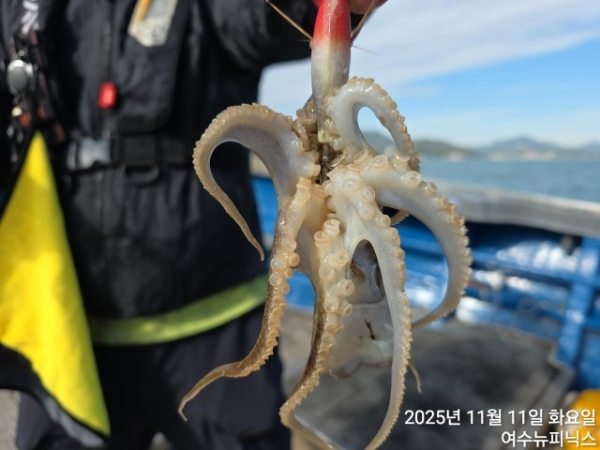 11월11일왕쭈 (7).jpg