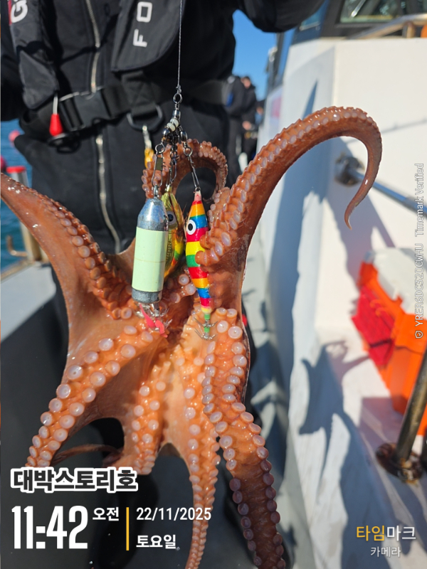 2025-11-22 11.42.38__(대박스토리호).jpg