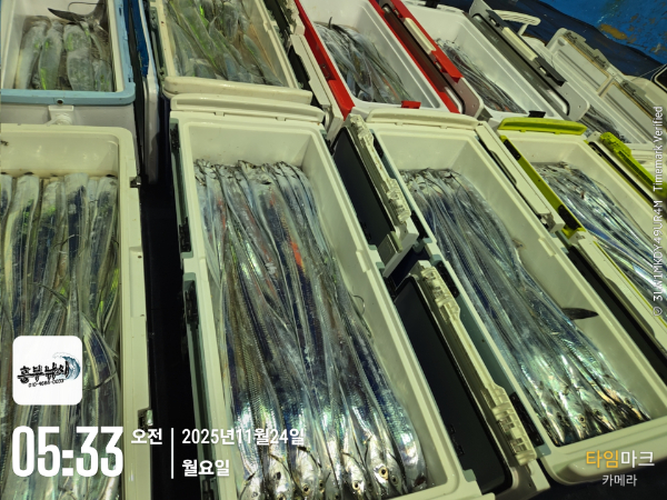 2025-11-24 05.33.11_.jpg