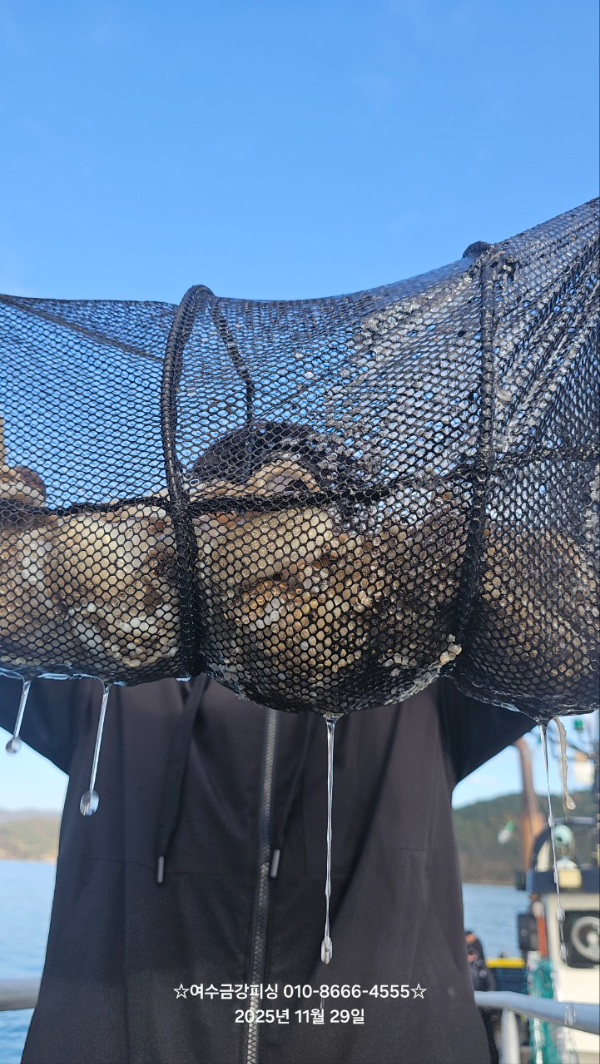 여수금강피싱_사진_20251129_7.jpg