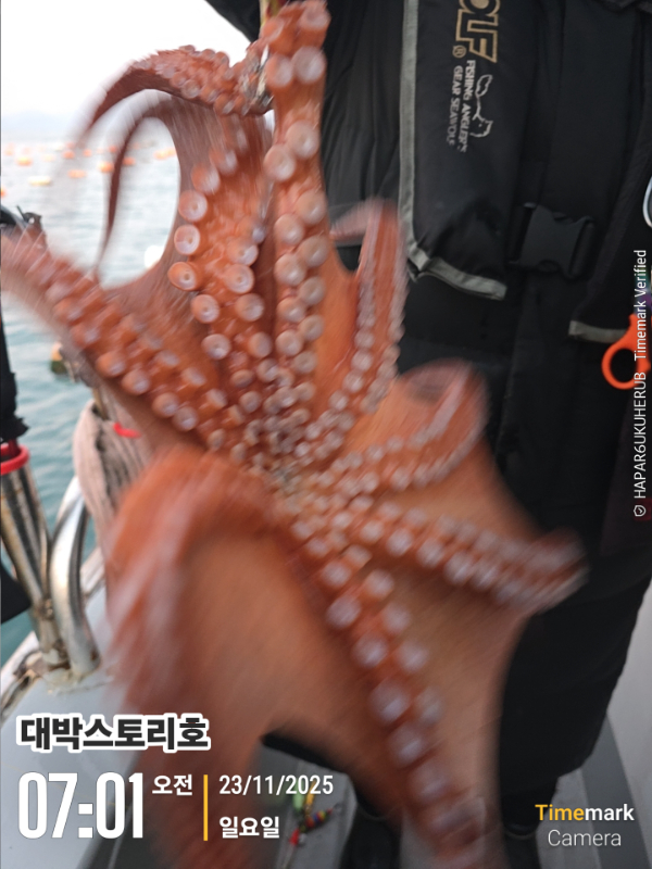 2025-11-23 07.01.36__(대박스토리호).jpg