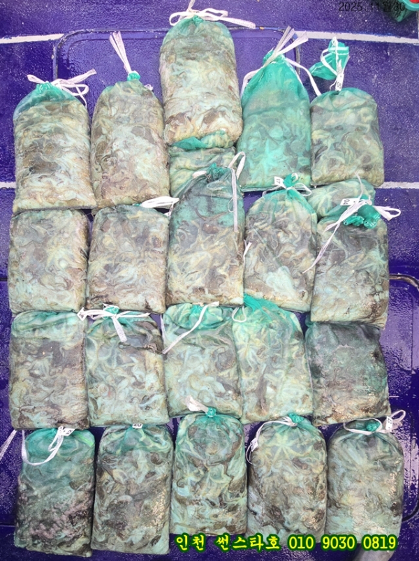 11월30 썬-tile.jpg