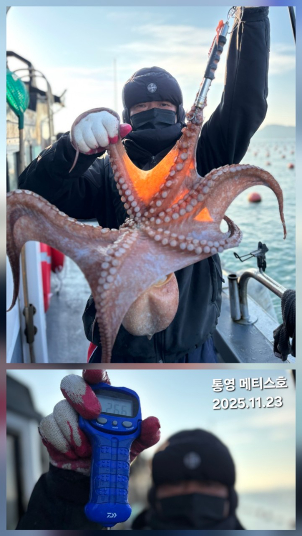 통영 메티스호_사진_20251126_4.jpg