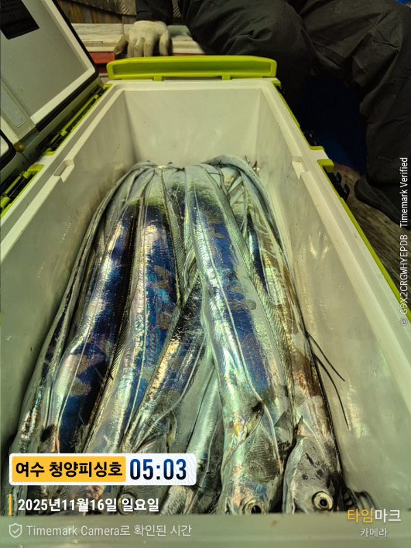 2025-11-16 05.03.46__(제목-여수 청양피싱호).jpg