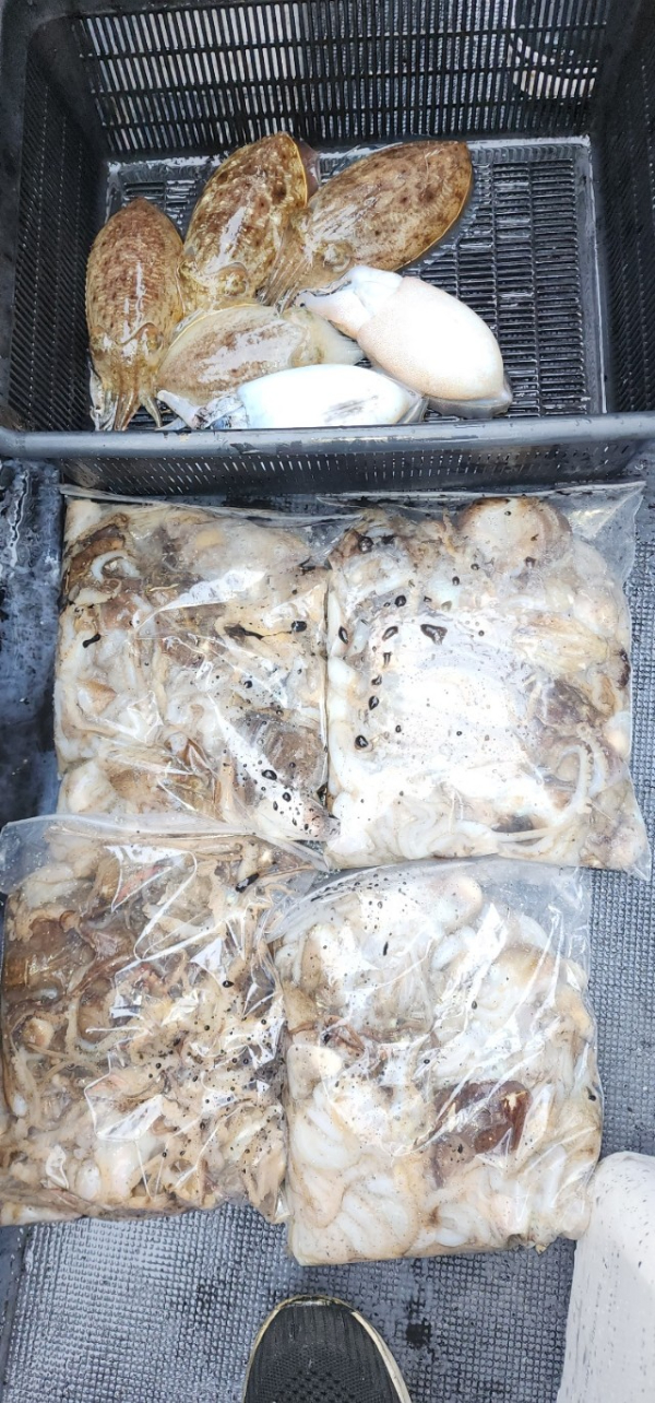 예지퀸호 농어외수질&어초낚시 경기인천권_사진_20251031_14.jpg