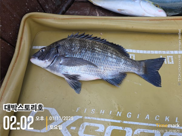 2025-11-01 02.02.29__(대박스토리호).jpg