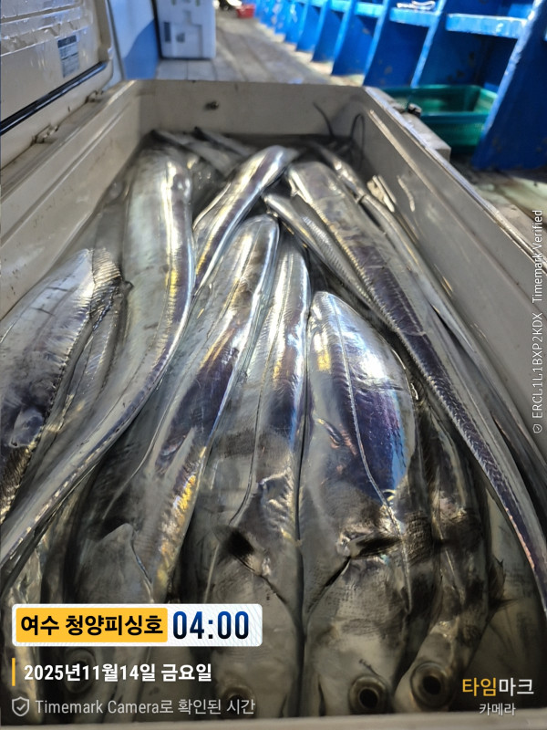 2025-11-14 04.00.29__(제목-여수 청양피싱호).jpg