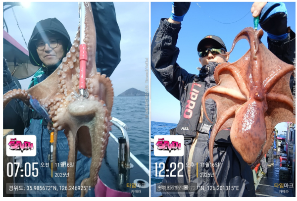 스크린샷 2025-11-17 144753.png