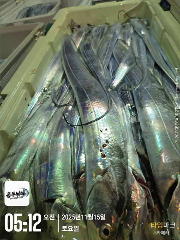 2025-11-15 05.12.57_.jpg