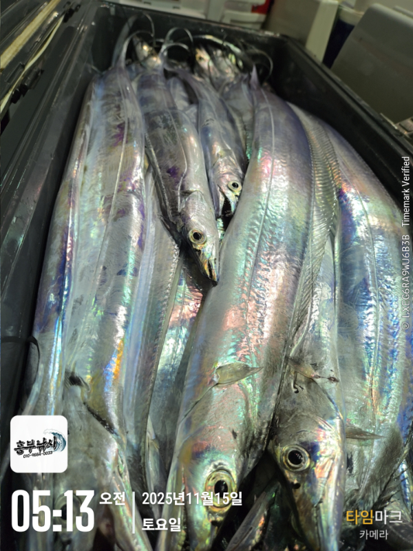 2025-11-15 05.13.26(1)_.jpg