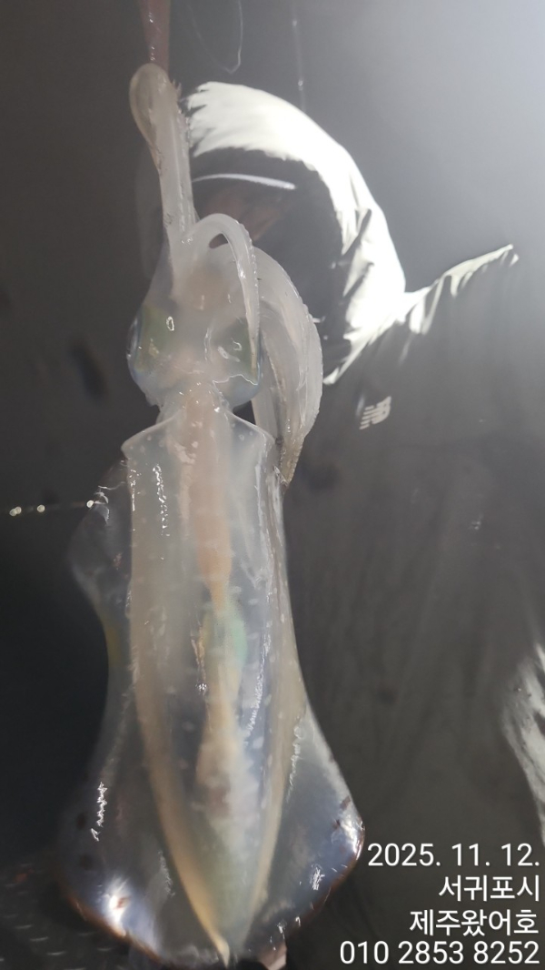 제주왔어호_사진_20251113_13.jpg