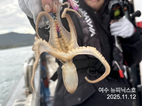 11월12일대왕쭈 (43).jpg