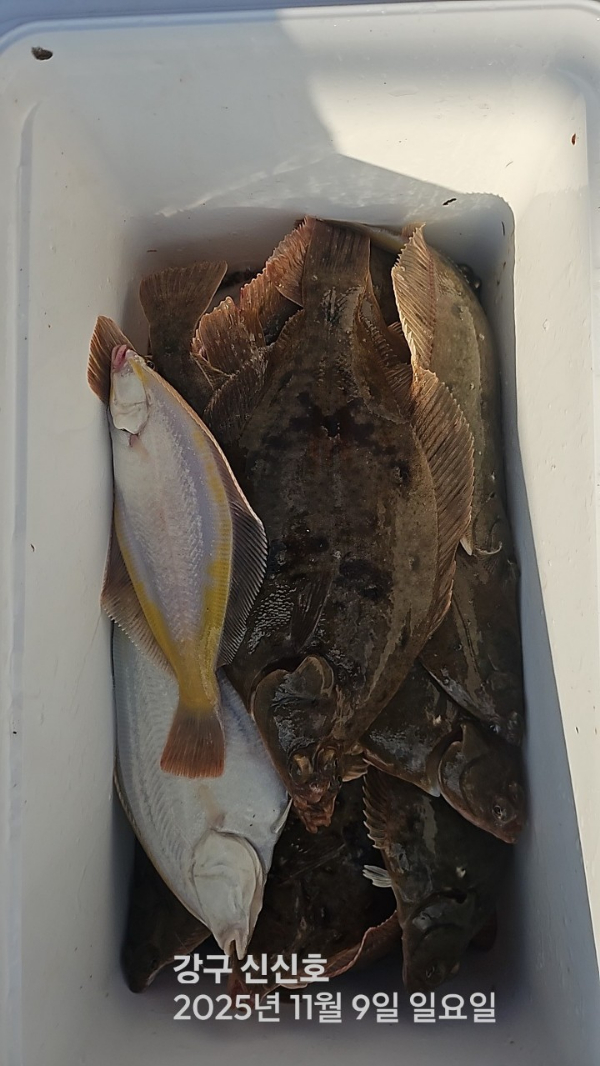 신신낚시 강구점 신신호_사진_20251109_14.jpg
