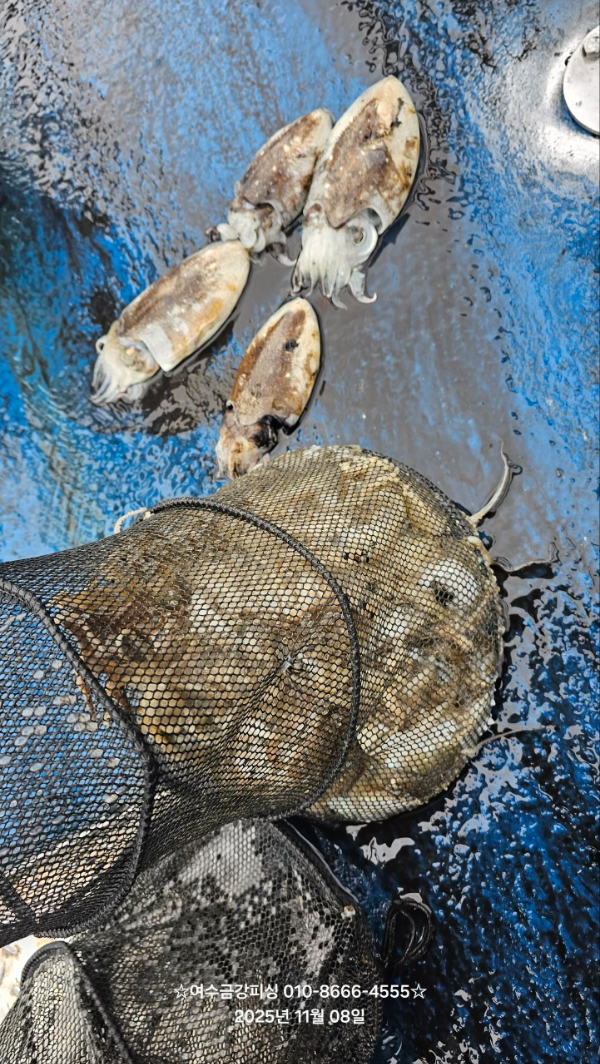 여수금강피싱_사진_20251108_8.jpg