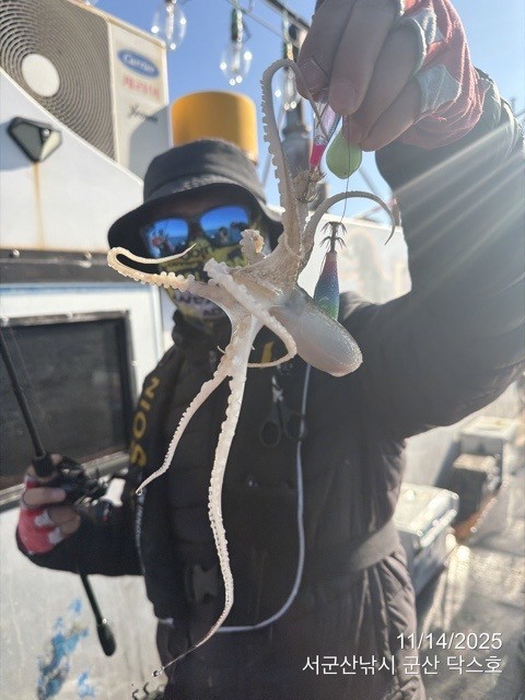 군산 선상낚시, 바다낚시 출조 전문 ☆서군산낚시☆_사진_20251114_14.jpg