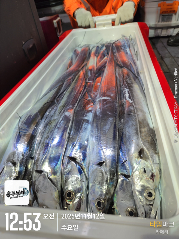 2025-11-12 12.53.11_.jpg